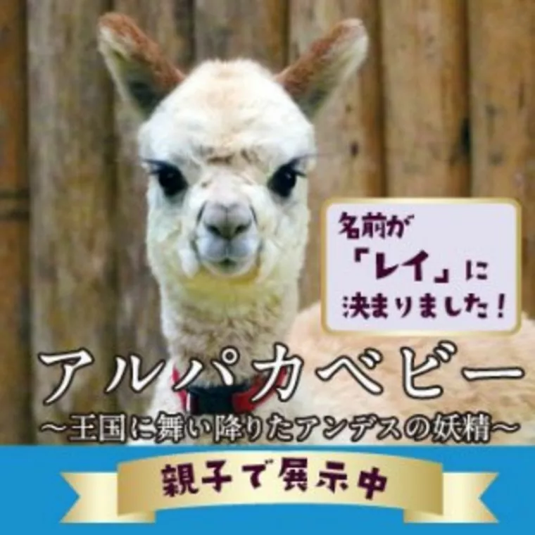 神戸どうぶつ王国が営業再開！