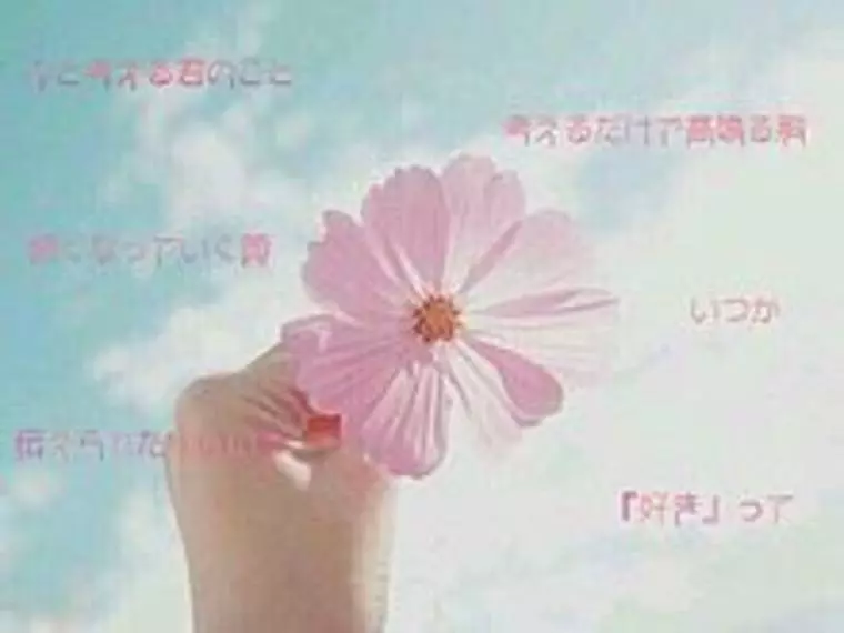 交際中のお悩み？