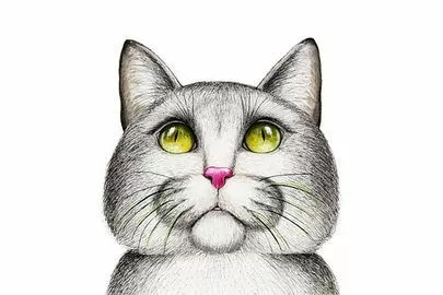 スターマリアージュ青山「洋服のセンスがない、お店を選ぶチョイスが悪いからお別れ？」-2