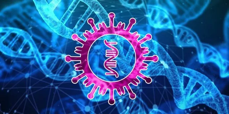 新型コロナ感染後は再感染しない！？東大研究チームが発表