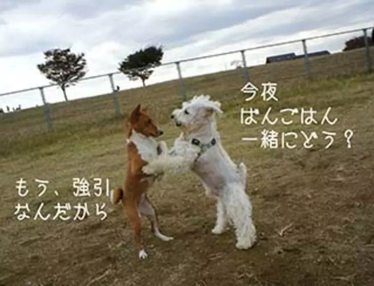 ラブゲーム・・・