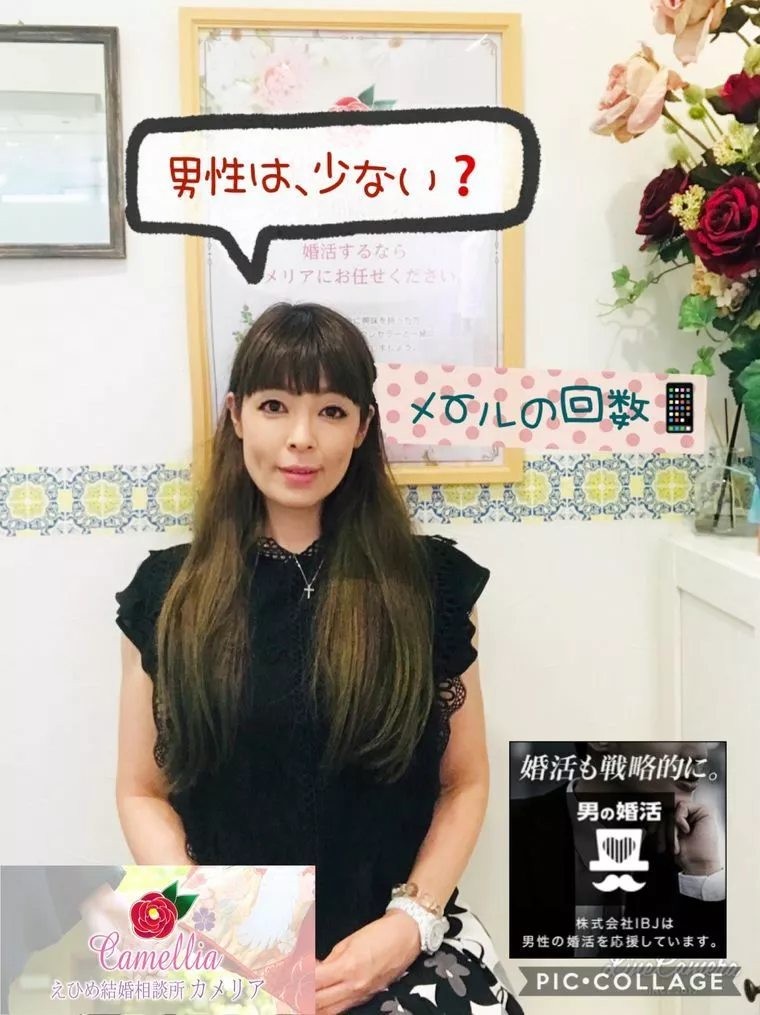 メールの回数