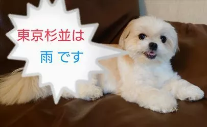 アモ・カプルス amo-couples「男性は○○○を覚えましょう！！」-2
