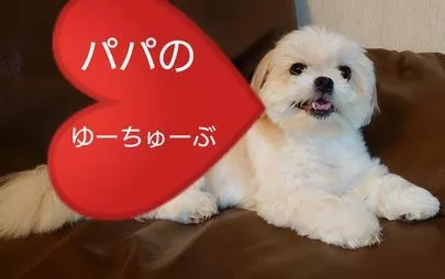 アモ・カプルス amo-couples「男性は○○○を覚えましょう！！」-3