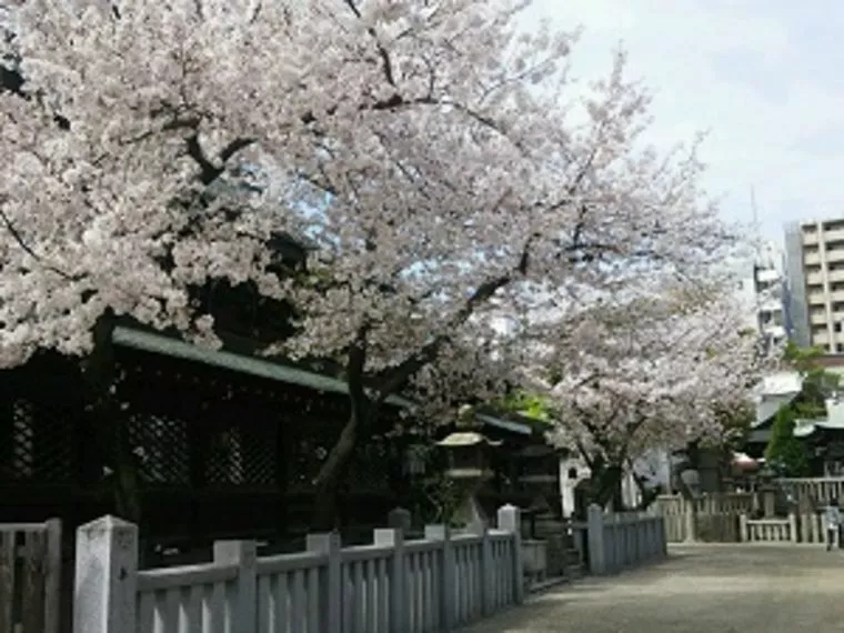 彼のオシにドン引き。一度は交際終了を私に申し出たが…