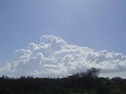 ウイン虎ノ門結婚相談所「普通の男性でいいのよ～!!!」-3