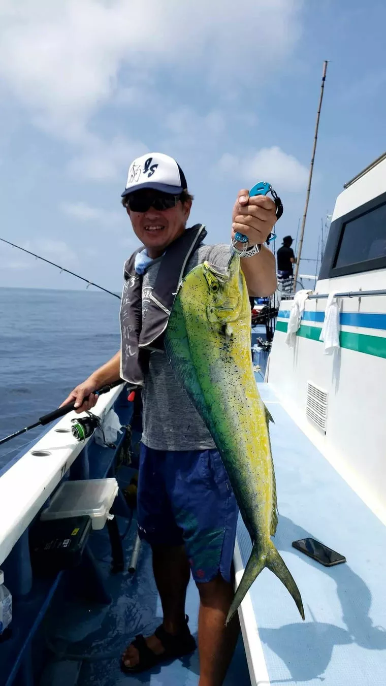 コロナ禍のお薦めデートスポット！　アウトドア編