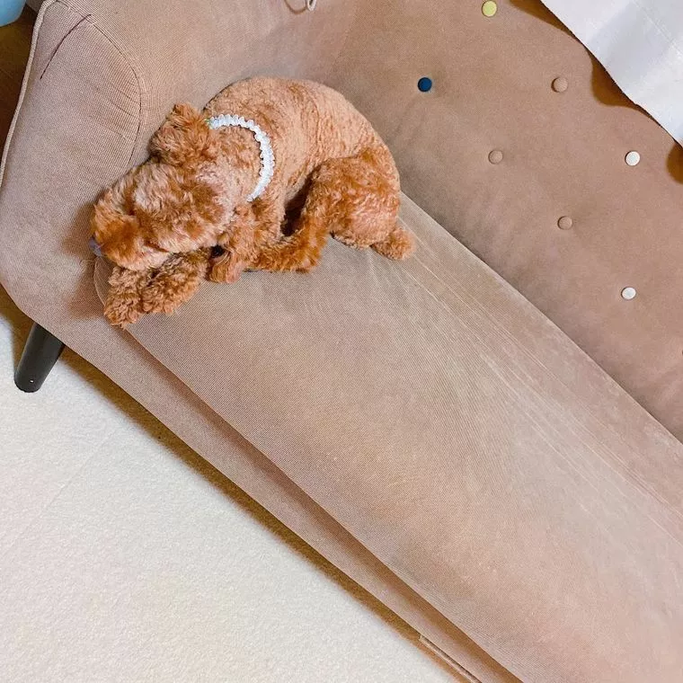 女の子が…出来る？？？今日やっておきたいこと。