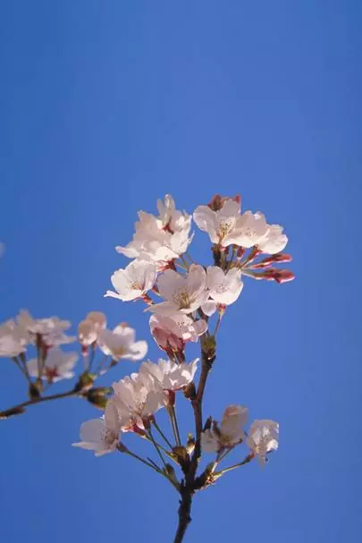 ウイン虎ノ門結婚相談所「婚活のお見合い場所で、ボーと待っちゃダメなの!!!」-2
