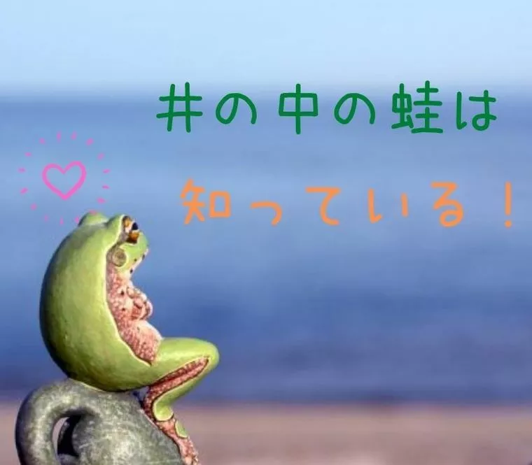 井の中の蛙は、蒼さを知っている！