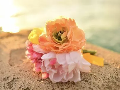 Will Marry（ウィルマリー）「「この人と一緒にいたい」と思えたのは…♡ご成婚お祝い会」-2