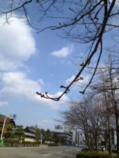 京都縁結び倶楽部「成婚退会された彼、婚活での成長に感動！」-2