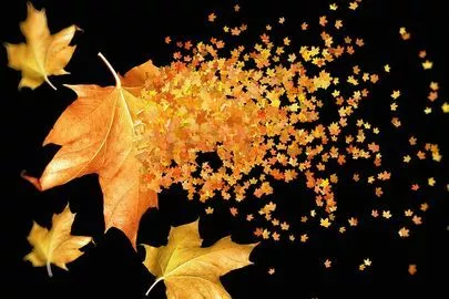 スターマリアージュ青山「秋到来♡９月おすすめデートスポット～美術館編」-2