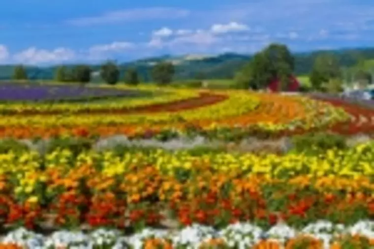 本当に強い人とは素直な人です。