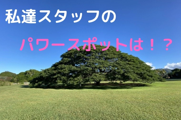 ご成婚者が私たちのパワースポット。。。