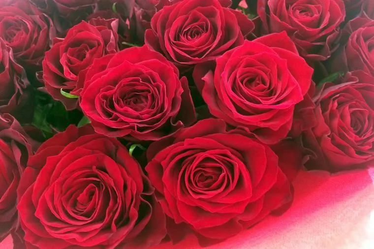 100日記念日