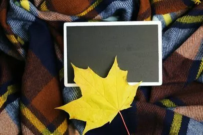 スターマリアージュ青山「【心理】好きな男性と会話するときのちょっとしたポイント」-2