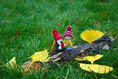 スターマリアージュ青山「【2020年都内紅葉スポット】紅葉を見比べてみよう」-2