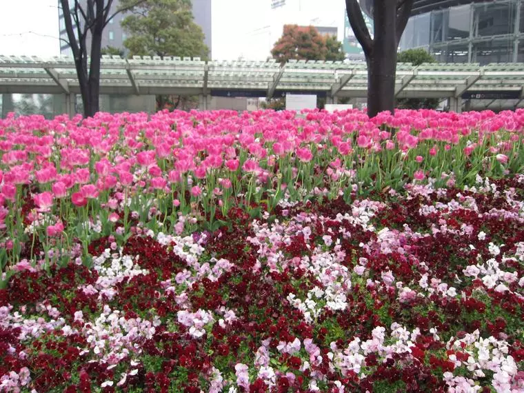 充実した交際で楽しみを共有し成婚に繋げる