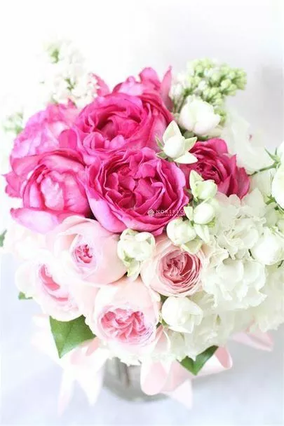 スターマリアージュ青山「価値観がぴったり♡年収900万円エリートとの真剣交際」-2