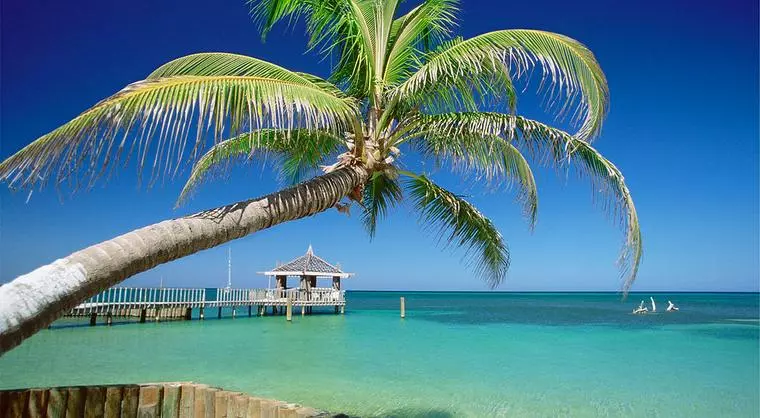 夏を制する者が、婚活を制す