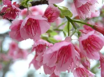 ウイン虎ノ門結婚相談所「婚活は、感謝の気持ちと、前向きな考えから成功へ!!!」-2