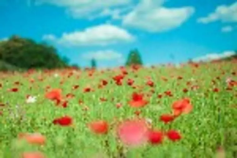 お見合いを楽しくするために！？