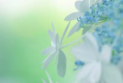 結婚相談所バディ「７/１５(土)働く女性の為の婚活セミナー開催します！」-2