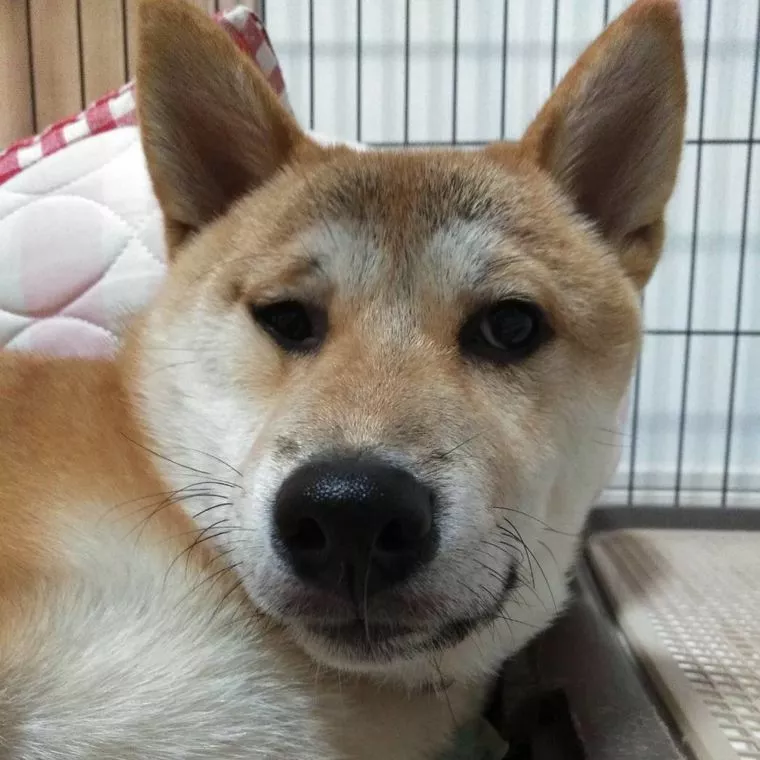 信頼できる口コミ！？教えてあげるよー！ほんとのところを！
