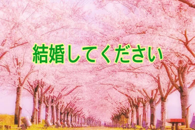 プロポーズ頂きました！