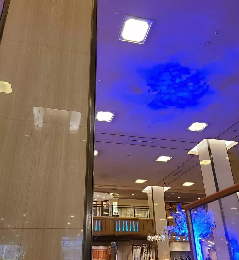 本日は、スタート間もない会員様のお見合い前の面談！