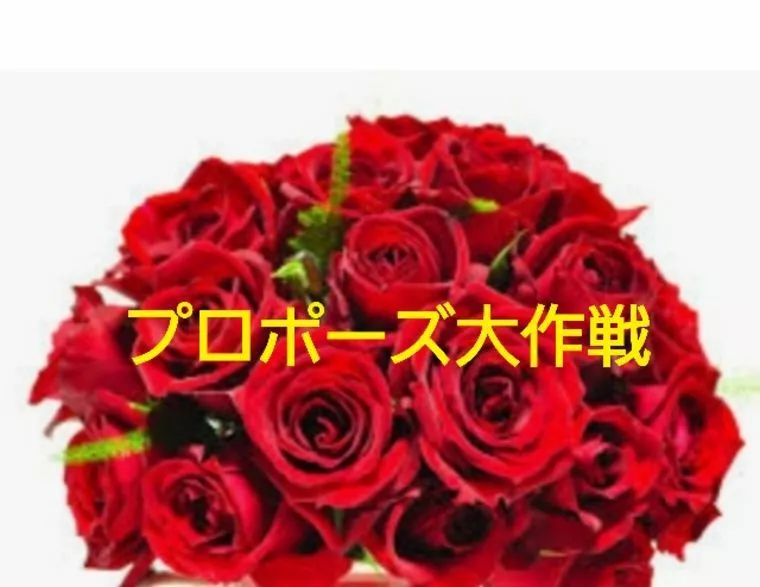 プロポーズ大作戦
