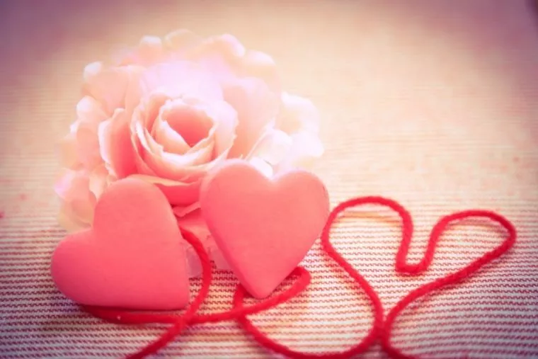 2020　もっとも印象に残った成婚カップル💗