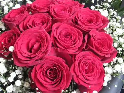 グッドラックステージ「自分に似ている人と似ていない人結婚するならどっち」-2