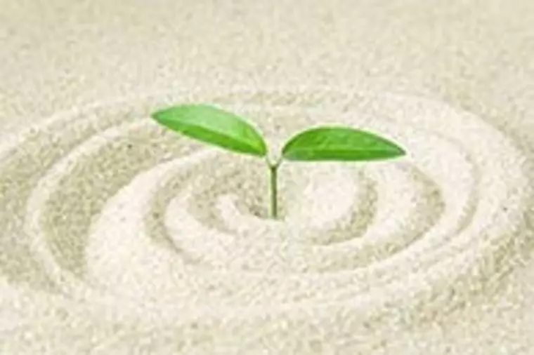 デートで距離を縮める方法～その２～