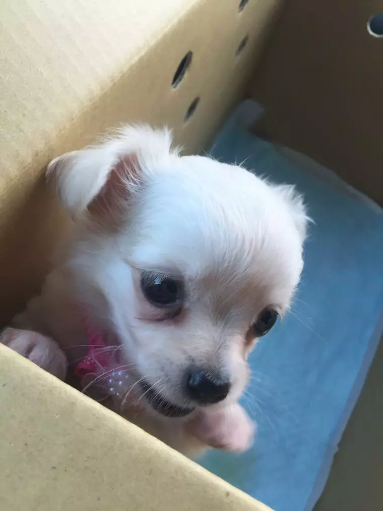 うちの夫は仕事が出来ないから学ぶ