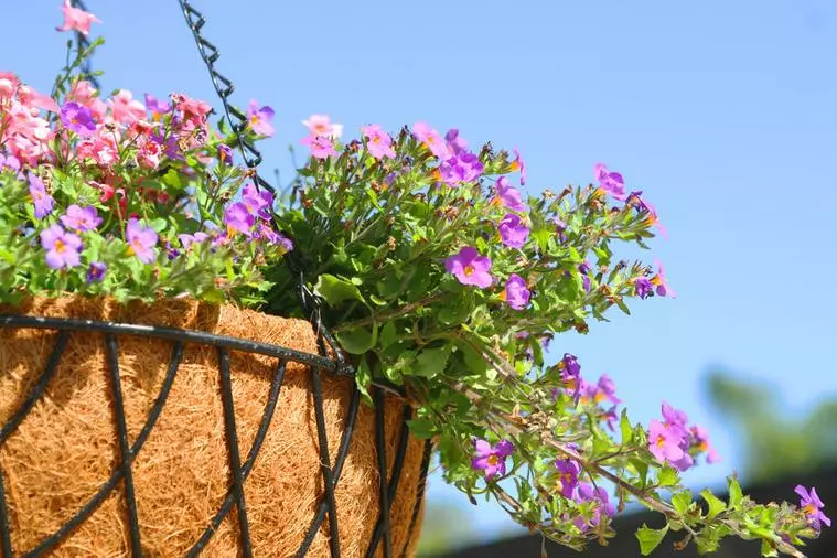 40代の女性、真剣交際へ