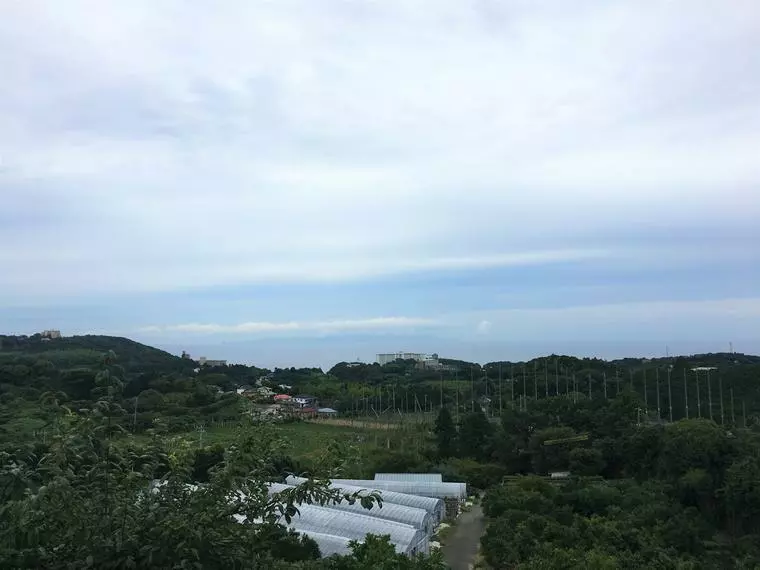 伊豆の花嫁
