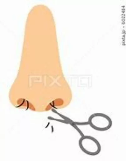 みろく結婚相談所「婚活でやたらとフォーカスされる鼻毛。。。」-2