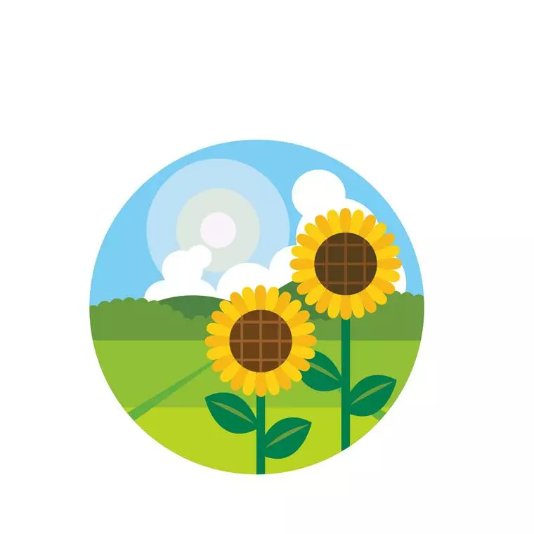 夏の家族旅行の思い出