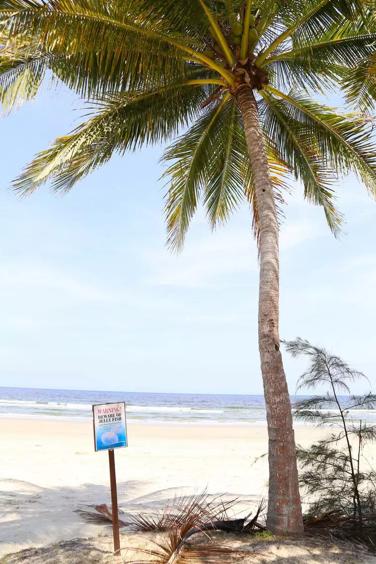 暑さを乗り越えていきましょう～