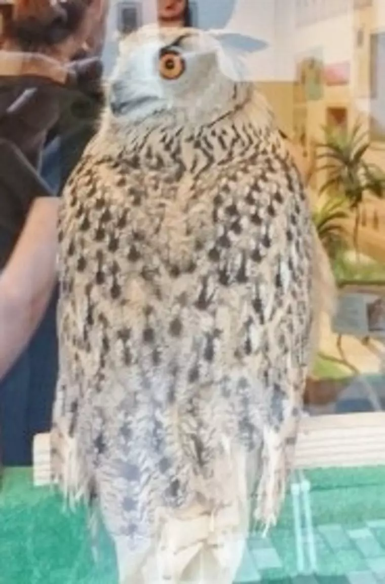 可愛くてドキドキ！