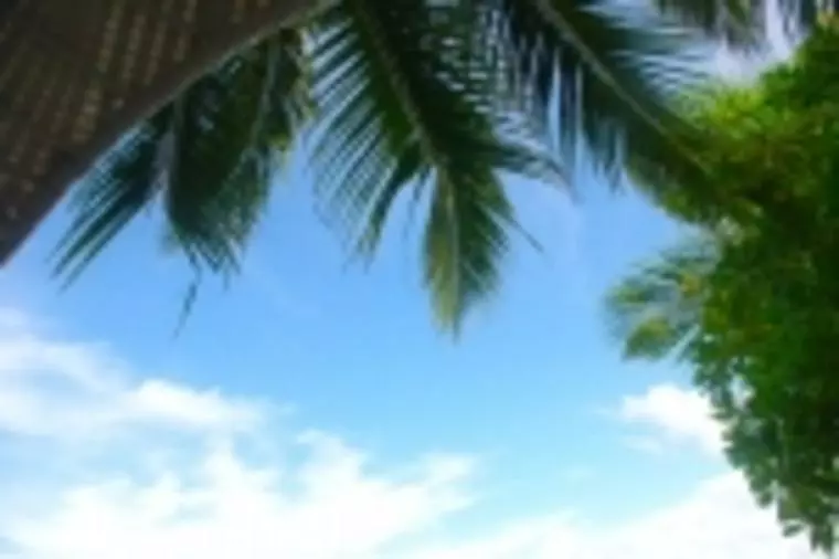 婚活も積極性が大事！？