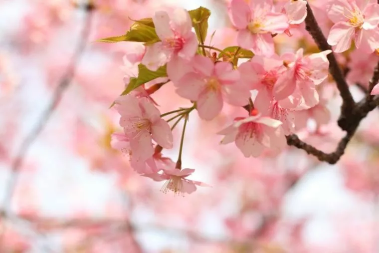 結婚相談所って恥ずかしいですか？