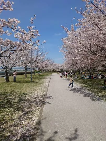 結りんく「☆二人で楽しめるデートスポット情報☆ 【防府市　向島運動」-2