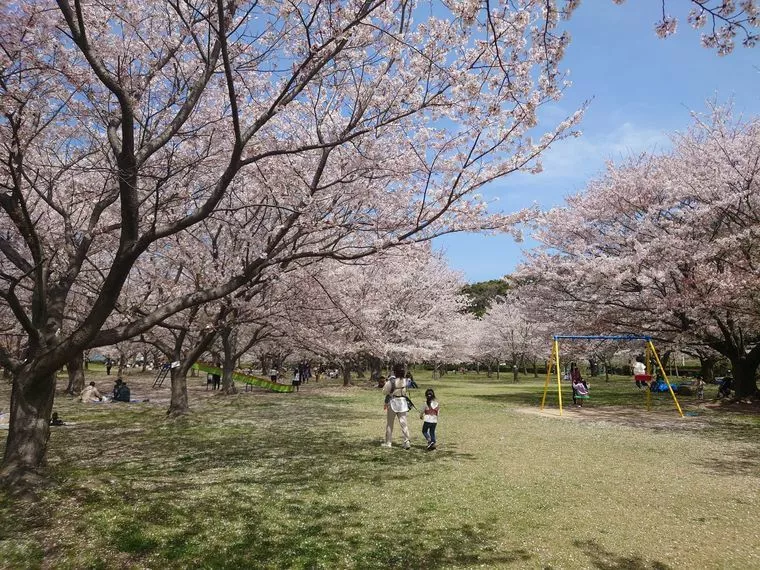 ☆二人で楽しめるデートスポット情報☆ 【防府市　向島運動