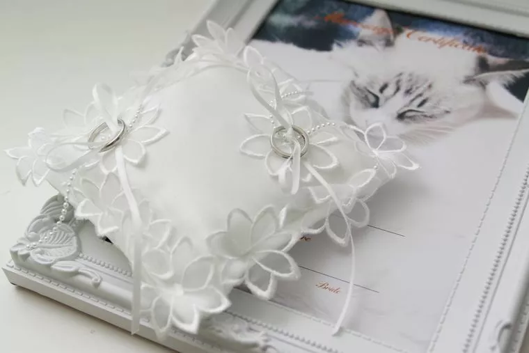有吉弘行♡夏目三久の結婚におけるアラフォー男子結婚