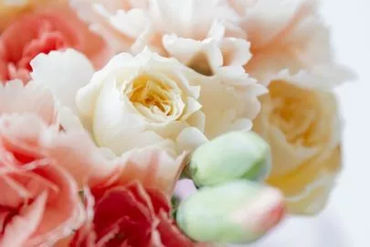 結婚相談所 ETERNAL WINGS 福岡「IBJが選ばれる理由って？」-2