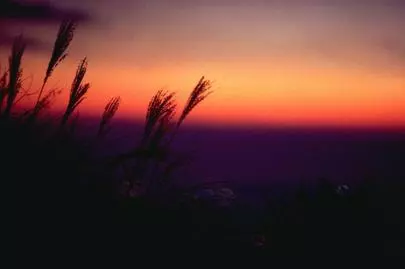 ウイン虎ノ門結婚相談所「お見合いで全然タイプじゃないと思った人を気にいる理由とは」-3