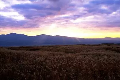 ウイン虎ノ門結婚相談所「東京の婚活は、20代で結婚して子宝に恵まれるのが良いです」-3